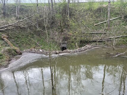 Foto de tracksau a lo largo del recorrido