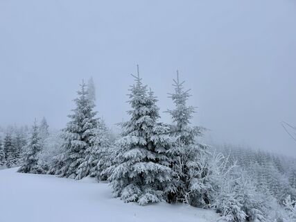 Plöckenstein im Winter