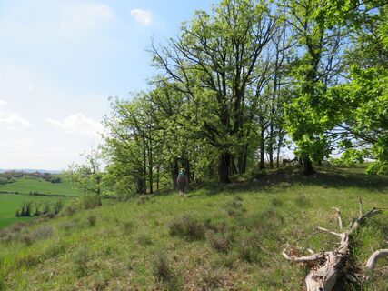 Hügelfußweg