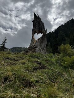 Foto von Bolle007 entlang der Tour