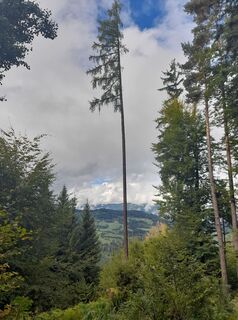 Fotografie z Preisskarin4 na trase
