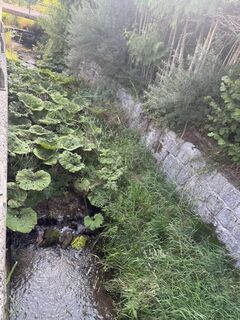 Foto de Johann Rameder a lo largo del recorrido