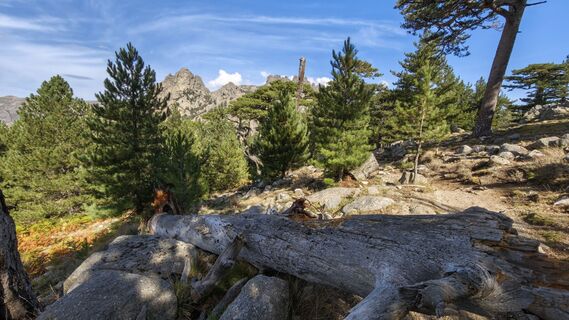 Photo de Franz Maier 8 le long du parcours