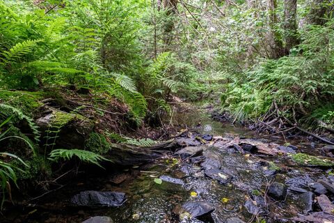 Der Endschlagbach auf seinem Weg durch den Auwald im Bachbett von Buntsandsteinem Weg durch den Auwald im Bachbett von Buntsandstein