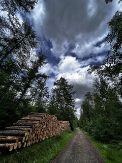 Photo de Harald Engel le long du parcours