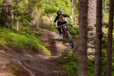 Singletrail 1