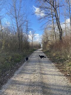 Foto von Florian Gerl entlang der Tour