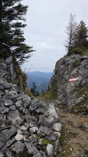 Foto från Bergmadl ⛰️☀️ under resans gång