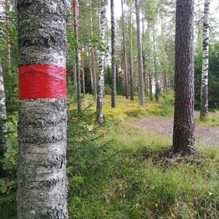 Naturpfad Parkinmäki
