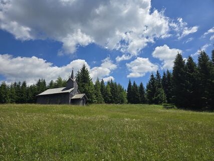 Foto von TwilightTea entlang der Tour