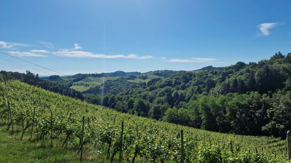 Fotografia z Gipfelstürmer0815 na trase