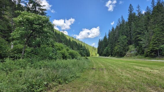Foto von Claudia Maurer entlang der Tour