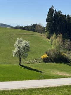 Foto von Friedrich Ecker entlang der Tour
