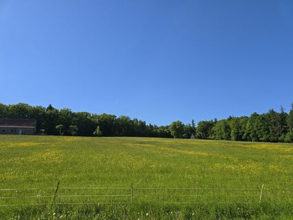 Zdjęcie z Michel Kennel wzdłuż trasy