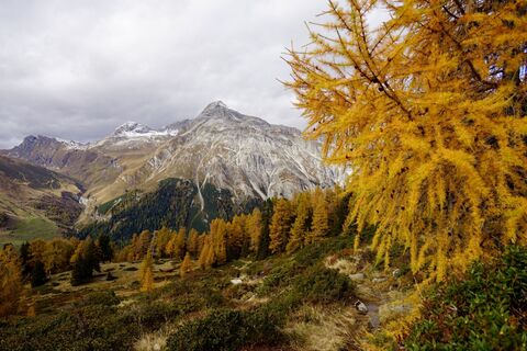 Fotografia z Laura Acosta Cruz na trase