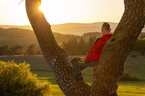 Wanderer sitzt in der Astkabel und blickt in die untergehende Sonne