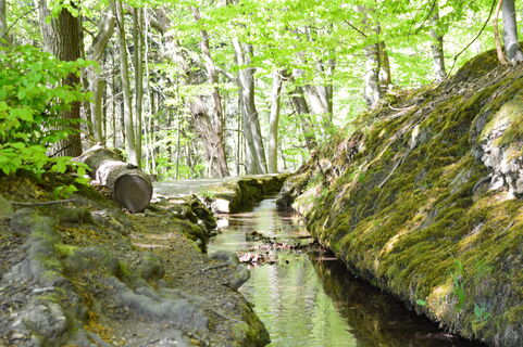 Wandern Schwalenberg Stadtwasser Quer(C)Stadt.JPG
