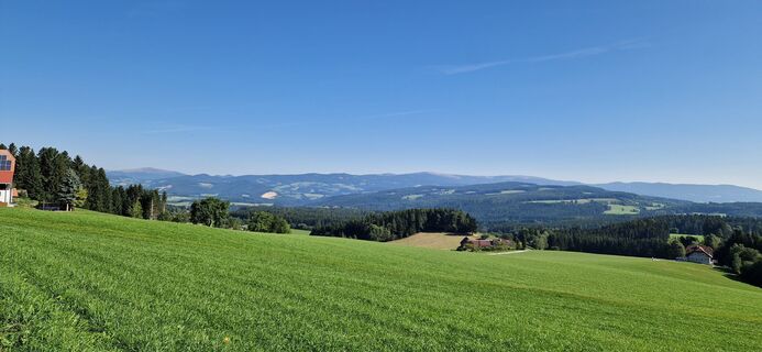 Fotografia z Utassy Tóth Johanna na trase