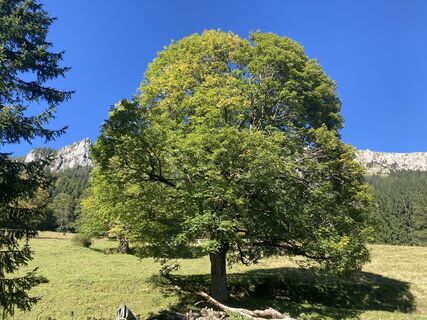 Fotó a Angela honlapról a túra során