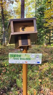 Photo de Ilse Sellnar le long du parcours