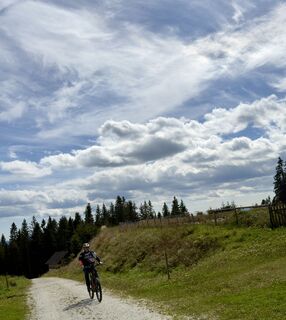 Foto von firebird 93 entlang der Tour