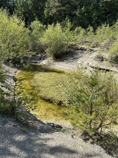 Photo de Uwe Biatel le long du parcours