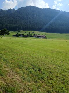 Foto von Fantom RoK entlang der Tour