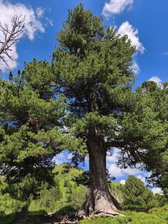 Photo de Andreaspruller le long du parcours