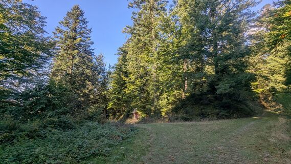 Trekking Schwarzwald Camp Erdbeerloch