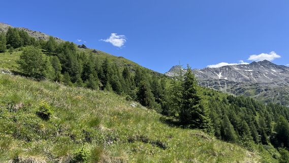 Foto von Heidi Gaggl entlang der Tour
