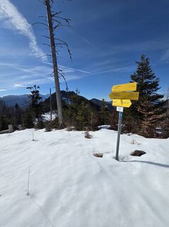 Foto de Florian Dürnegger a lo largo del recorrido