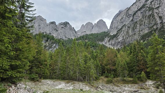 Fotografija s spletne strani euterpe42 na poti