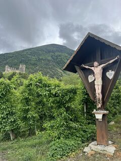 Foto från Peter Schäfer under resans gång