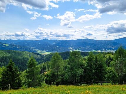 Blick vom Herzogberg auf das Mürztal