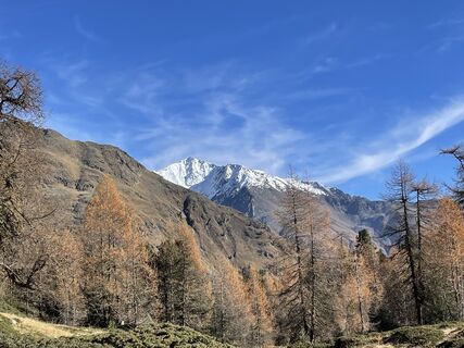 Foto von Lisa Amann entlang der Tour