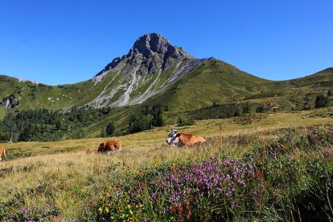 Blick auf den Draugstein