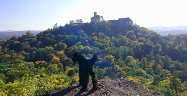 Auf dem Metilstein mit Blick auf die Wartburg bei Eisenach