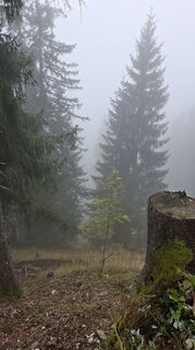 Fotografia z Eva Schwarzenberger na trase