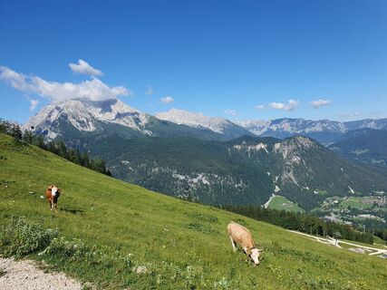 Fotó a Jan Koopmann honlapról a túra során