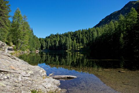 Grünsee
