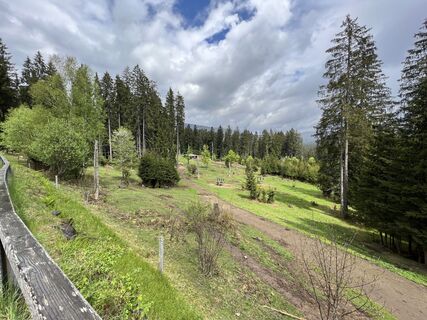 Photo de Volki F. le long du parcours