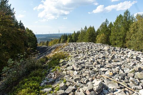 Ringwall Otzenhausen