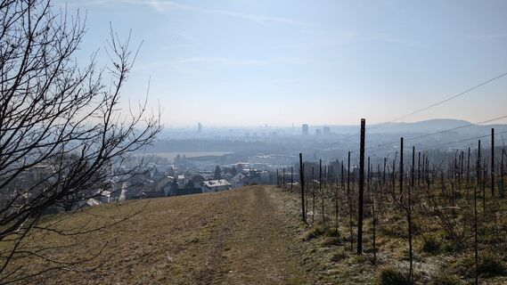 Fotografija s spletne strani Klaus Lehner na poti
