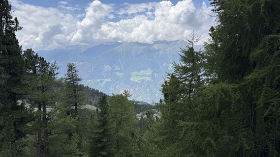 Foto von Daniel Härtel entlang der Tour