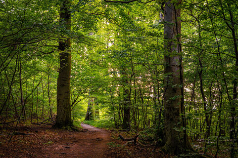 Fotografia z Ekhard Oberleitner na trase