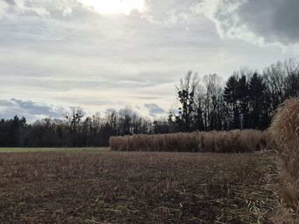 Foto de josef duermoser a lo largo del recorrido