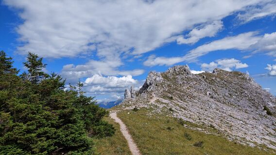 Photo de magicschurl le long du parcours