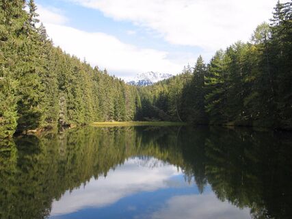 Waldweiher.jpg