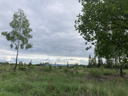 Aussicht Federbruchmoor-Rundweg