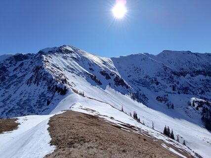 Foto från rotbaeder under resans gång